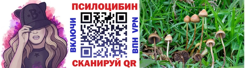 Купить закладки  Суровикино  Галлюциногенные грибы MAGIC MUSHROOMS 
